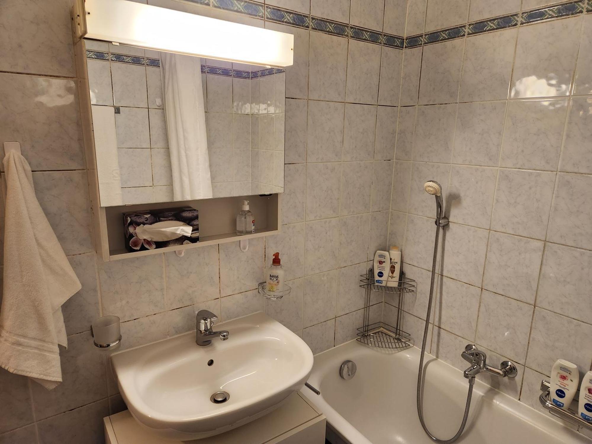 Room In Shared Apartment Geneva Exterior foto